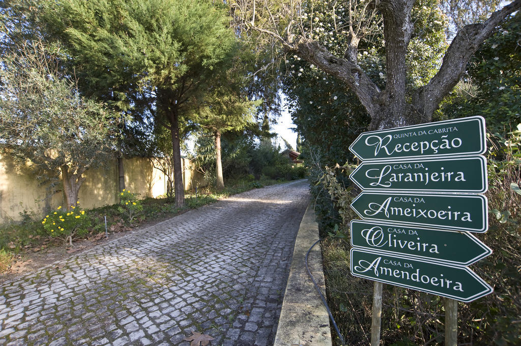 Вилла Quinta Da Cabrita Сантарен Экстерьер фото