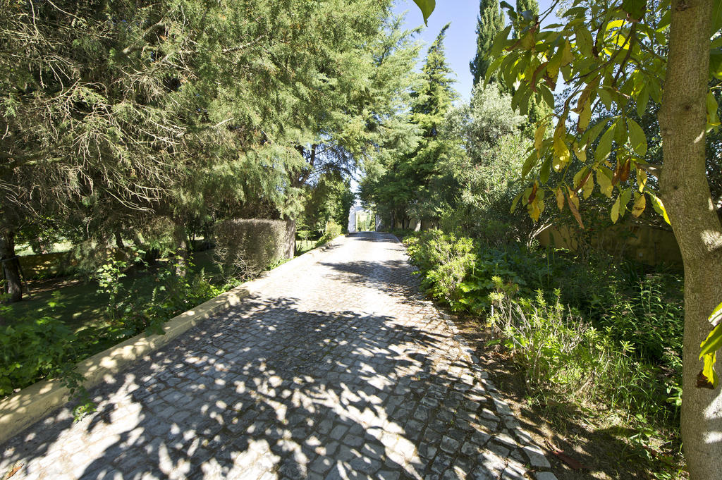 Вилла Quinta Da Cabrita Сантарен Экстерьер фото